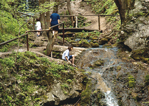 Tourism – An Important Economic Sector and a Significant Factor in Destination Developments