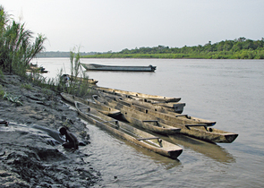Krása A.: Nature Conservation in Indonesian Papua: the Mamberano River Basin
