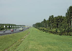 Losinij ostrov – národní park na dohled z Kremlu