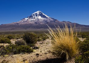 Vaněk S.: Altiplano in Bolivia –A Region of Hard Life