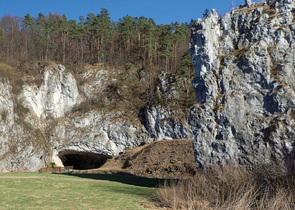 Show Caves as Important Hibernacula of Bats in the Czech Republic