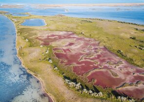 How the War Has Affected Ukrainian Protected Areas