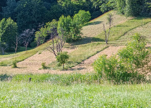 Český ráj a jeho louky