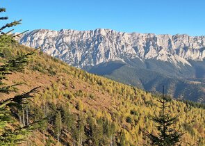 Conservation Carpathia – nestátní chráněné území v Rumunsku
